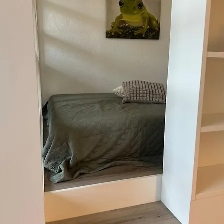 Nr 5 Roxel * مونستر